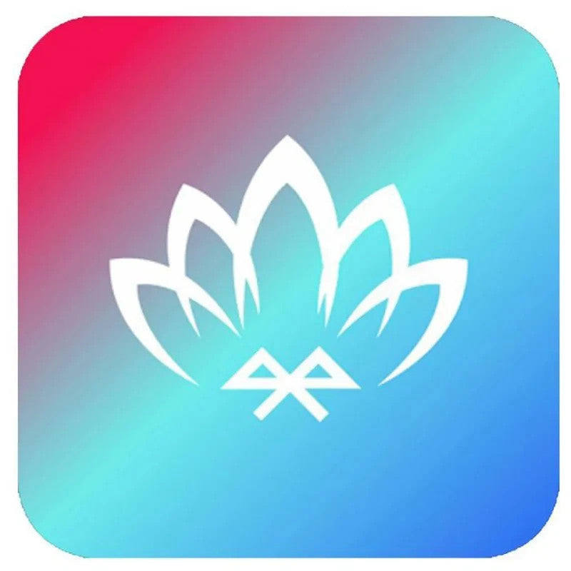 Auto-Style 10-Piece 8m Multi-Color LED Optical Interior Ambience Lighting App